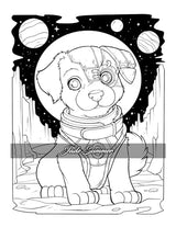 Stress Relief: Adult Coloring Book with Animals, Flowers, Fantasy, and More for Mindfulness and Relaxation WoodArtSupply