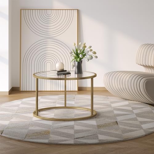 SAYGOER Small Glass Coffee Table Round Gold Coffee Table for Small Space Modern Simple Center Table with Gold Frame for Living Room Home Office, Easy Assembly SAYGOER