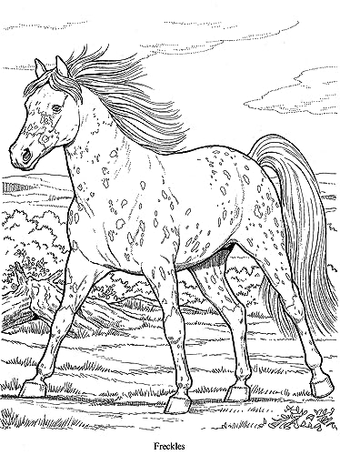 Wonderful World of Horses Coloring Book (Dover Animal Coloring Books)