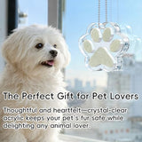 AXEFUN Pet Fur Keepsake Paw – Clear Acrylic Pet Memorial Ornament with Magnetic Openable Memory Chamber, Pet Loss Remembrance Gift for Dog, Cat & Small Animals