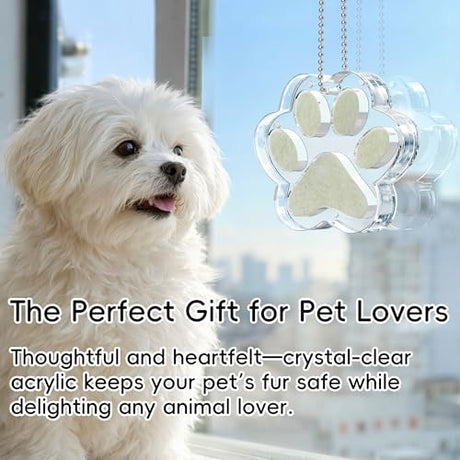 AXEFUN Pet Fur Keepsake Paw – Clear Acrylic Pet Memorial Ornament with Magnetic Openable Memory Chamber, Pet Loss Remembrance Gift for Dog, Cat & Small Animals AXEFUN