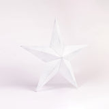CWI Gifts Metal Barn Star - 8 inch Galvanized Hanging Star - Farmhouse Wall Decor - White CWI Gifts