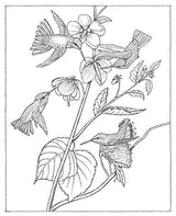 Creative Haven Audubon Birds Coloring Book (Adult Coloring Books: Animals) Dover Publications