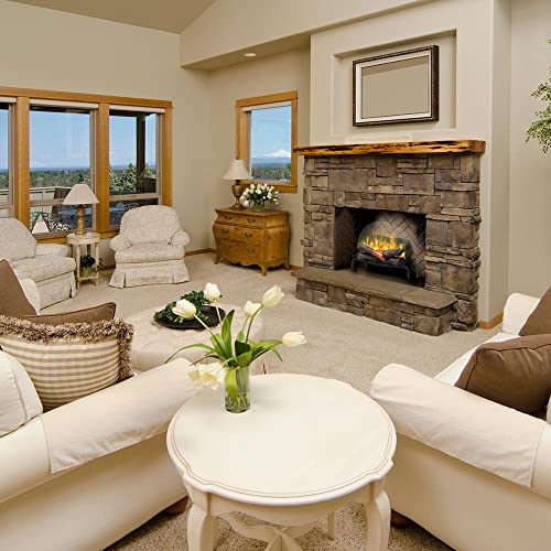 Dimplex Revillusion Electric Fireplace Log Insert - 20 Inch Faux Wooden Logs, Plug in Electric Heater; Remote Control Included - Supplemental Zone Heat | Model #RLG20 DIMPLEX