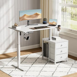 REAHOME Electric Standing Desk with Drawers, 47 x 24 Inches Height Adjustable Sit Stand Desk with Storage, 3 Memory Preset Home Office Computer Table, Printer Cabinet, 2 Hooks, Cable Management, White REAHOME