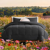 UGG Leonora Comforter Set with 2 Pillow Shams Lightweight Down Alternative Blanket Reversible Cozy Warm All Season Washable and Hypoallergenic Bedding Set, Full/Queen, Charcoal Grey UGG