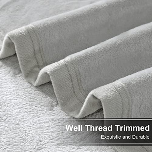 EASELAND Soft Queen Size Blanket Warm Microplush Lightweight Thermal Fleece Blankets for Couch Bed Sofa,90x90 Inches,Silver Gray EASELAND