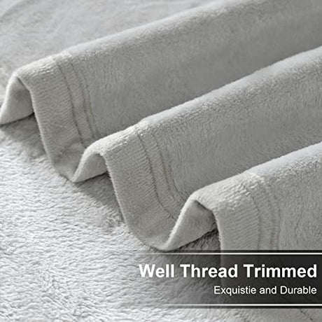 EASELAND Soft Queen Size Blanket Warm Microplush Lightweight Thermal Fleece Blankets for Couch Bed Sofa,90x90 Inches,Silver Gray EASELAND