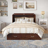 AFI Hamilton Full Murphy Bed Chest with Mattress, Storage, and Built-in Charger in Walnut AFI