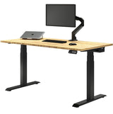 Desky Dual Light Bamboo Standing Desk - 72x30 Electric Standing Desk - Dual Motor, 3 Stage Adjustable Height Desk with 4 presets - Ergonomic Wood Desky
