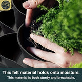 SunVara Vertical Wall Planter Vertical Garden Wall Living Wall Planters Outdoor Wall Garden Planter Outdoor Vertical Wall Planters for Outdoor Plants Wall Pocket Planter Hanging Grow Bags 64 Pockets SunVara