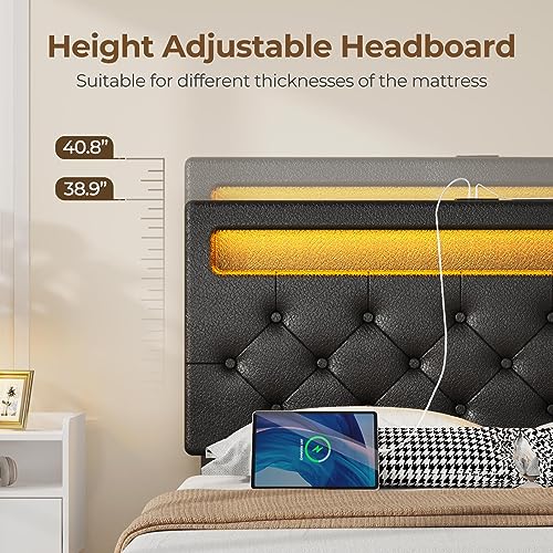 Rolanstar Queen Size Bed Frame with Charging Station, LED Bed with Under Bed Storage, Adjustable Headboard 38.9/40.8 Inches, No Box Spring Needed, Noise Free, Easy Assembly, Black Rolanstar