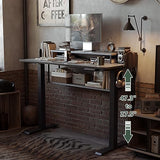 FEZIBO 48" Electric Standing Desk with Shelves, 48 x 24 Inch Sit Stand Rising Desk with Monitor Stand and Storage, Ergonomic Home Office Computer Desk, Rustic FEZIBO