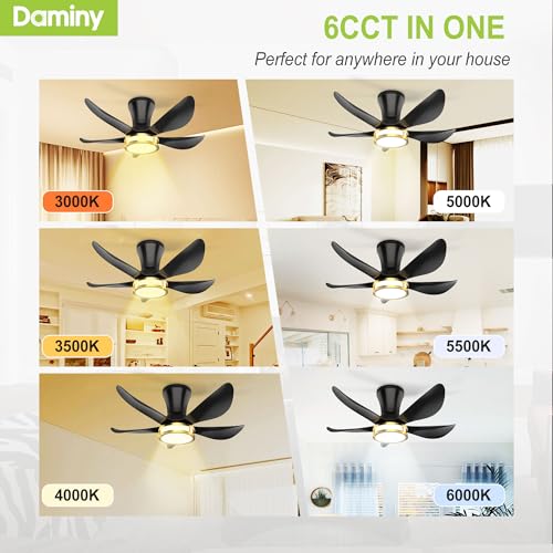 DAMINY 30 Inch Black and Gold 5 Blade Ceiling Fan with Light, Modern Ceiling Fan with Remote,Large Airflow,Flush Mount,6CCT,Dimmable,Noiseless,Bedroom Ceiling Fan DAMINY