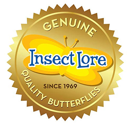 Insect Lore Raise and Release Butterfly Garden Kit – Caterpillar Habitat with redeemable Voucher – STEM-accredited Live Butterfly Growing Kit for Kids, Classrooms, and Homeschool Learning Insect Lore