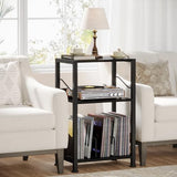 Hosfais 3 Tier Record Player Stand, Retro Vinyl Record Storage End Table Records for Living Room Bedroom (Black) Hosfais