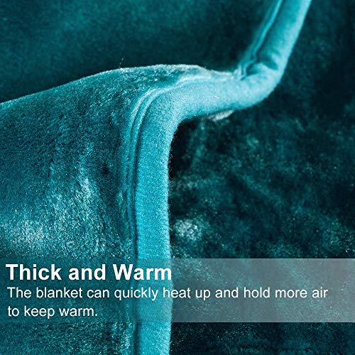 JML Korean Blanket King Size Heavy, Raschel Fleece Blanket for Winter, Soft Fluffy Thick Warm Home Decor, 85 x 95 Inches, 9 Lbs, Single Ply, Plush Cozy Luxury Embossing Bedding, Teal JML