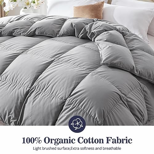 Globon Down Comforter Queen Size,All Season Duvet Insert Ultra-Soft Noiseless Shell,Mediumweight with 8 Corner Tabs, Grey Globon