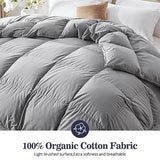 Globon Down Comforter Queen Size,All Season Duvet Insert Ultra-Soft Noiseless Shell,Mediumweight with 8 Corner Tabs, Grey Globon