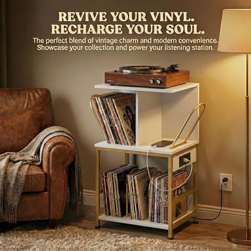 ZEXVIDA Record Player Stand with Vinyl Storage, Large Record Table Holds 180 Albums, Vinyl Record Storage Stand with USB Charger, Multi-Functional Side Table & Shelf for Living Room Bedroom ZEXVIDA
