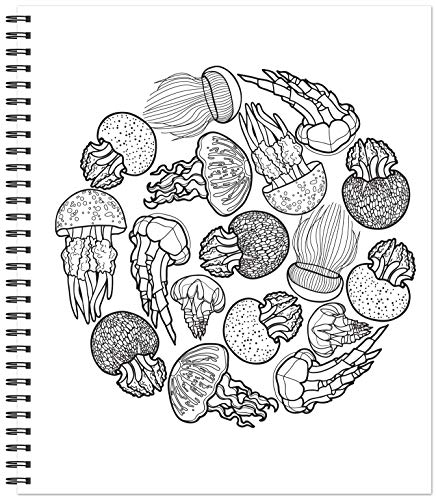 Color & Frame - Ocean Treasures (Adult Coloring Book)