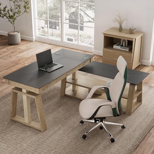 EUREKA ERGONOMIC L Shaped Standing Desk Ark EX, 60in Executive Adjustable Height Office Desk with Drawers,Computer Desk with Storage, Modern Executive Home Office,Oak Grey EUREKA ERGONOMIC
