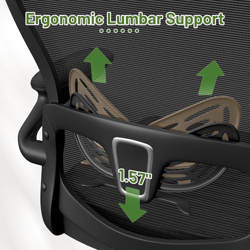 Furmax Ergonomic Office Chair Executive High Back Computer Desk Chair with 3D Headrest, Adjustable Lumbar Support Armrests for Home Office (Black) Furmax