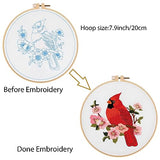 Louise Maelys Cardinal Embroidery Kits for Beginners with Bird Flower Pattern,Adults Starter Cross Stitch Kit DIY Needlepoint