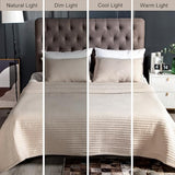 Oversized Queen Quilt Set–102"x106" Soft Washed 3-Layer Lightweight Bedspread with Multi-Lock Quilting,Minimalist Nordic Bedding,All-Season Quilt Set for Spring & Summer,(1 Quilt + 2 Shams), Oatmeal DAWNDIOR