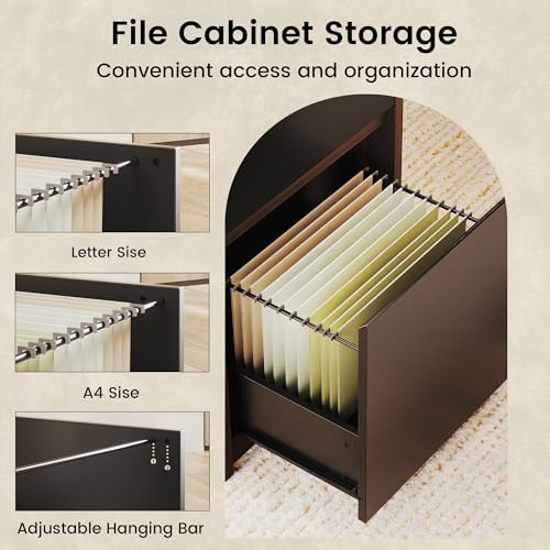 ModernMate Executive Standing Desk with Drawers & Storage, 71'' Adjustable Electric Stand Up Wood Desk with Privacy Panel, AC/USB, File Cabinet, Large One-Piece Destop for Home Office, Black Walnut ModernMate