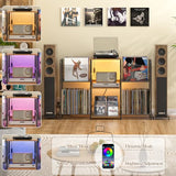3IngSeagulls Record Player Stand with Power Outlets and LED Light, Turntable Stand Storage Up to 350+ Albums, Record Player Stand with Vinyl Storage, Tuntable Stand with Record Holder for Living Room 3IngSeagulls