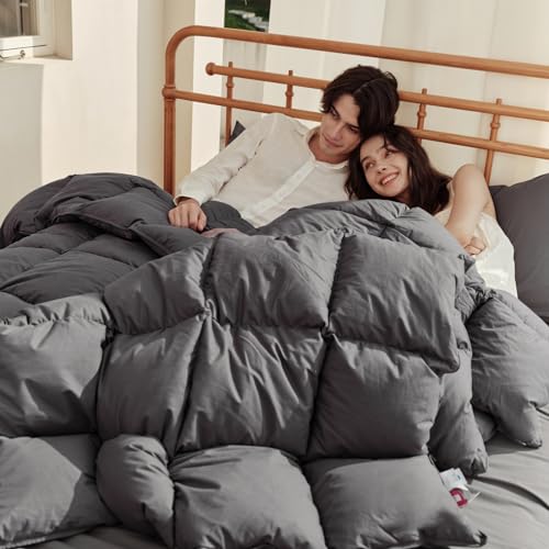 Airluck Feather Down Comforter Twin Size,Ink Gray All Season Duvet Insert,Luxurious Hotel Bedding Comforters with 100% Skin-Friendly Cotton Cover,Fluffy Medium Warmth with Corner Tabs(68x90 Inch) Airluck