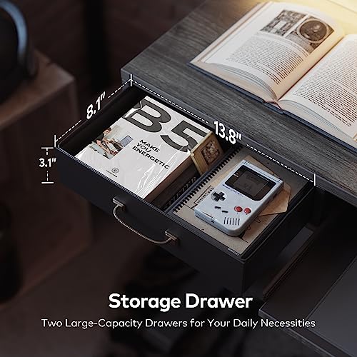 FEZIBO 55 x 25 Inch Height Adjustable Electric Standing Desk with Double Drawers&Keyboard Tray, Stand Up Desk with LED Strips, Sit Stand Desk with Monitor Stand, Rustic Grey FEZIBO