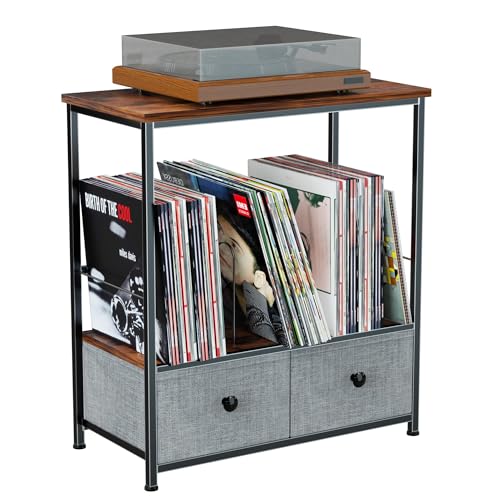 DALEMHOME Record Player Stand with Vinyl Storage, 2-Tier Record Shelf Table with Fabric Drawer, Holds Up to 110 Vinyl Records, Record Player Table for Turntable and Albums, 23.62"D × 11.81" W× 25.59"H DALEMHOME