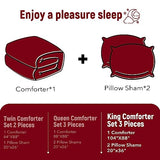 downluxe Ultra-Soft Micromink Sherpa King Size Comforter Set with 2 Pillow Shams - 3-Piece Set - Red - Plush Warm Fall Winter Bedding Comforter Sets downluxe