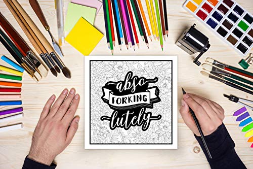 Holy Mother Forking Shirtballs: Clean Swear Word Coloring Book for Adults WoodArtSupply