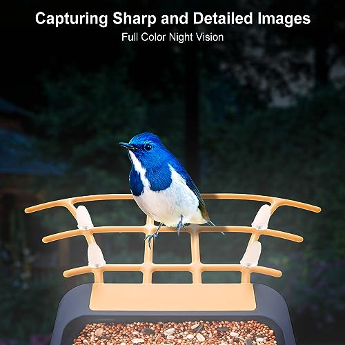 Bird Feeder with Camera Wireless Outdoor, Smart Bird Feeder with Camera Solar Powered, Automatic Video Capture & Motion Detection, 64G SD Card,