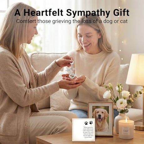 Japrex Pet Hair Keepsake, Pet Fur Memorial Keepsake with Angel Wing Paw Print Charm, Heart Glass Memory Locket for Dog Cat Fur, Pet Loss Remembrance Gift for Pet Lovers Japrex
