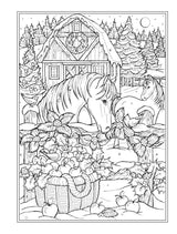 Creative Haven Home for the Holidays Coloring Book (Adult Coloring Books: Christmas) WoodArtSupply