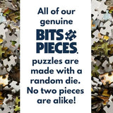 Bits and Pieces - Value Set of Three (3) 300 Piece Jigsaw Puzzles for Adults - Measures 18" x 24" - 300 pc Vibrant Blooming Branch House Countryside Comfort Flowers Summer Jigsaws by Artist Alan Giana