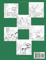 North American Wildlife: Coloring Book for Kids Ages 8+ Majosta