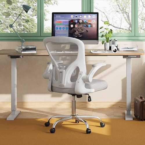 DEVAISE Office Chair Ergonomic Computer Desk Chair with Flip-up Armrests, Comfy Mesh with Adjustable Lumbar Support, White DEVAISE
