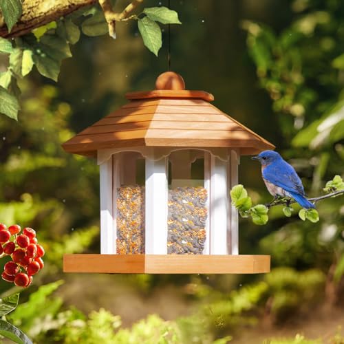 Cedar Alpha Delux Large Gazebo Hanging Bird Feeder for Outside- Rust Proof- Lifetime Durability - Large Compacity - Sunflower Seeds - All Birds Available (6 Lbs Capacity DIY Kit) - WoodArtSupply