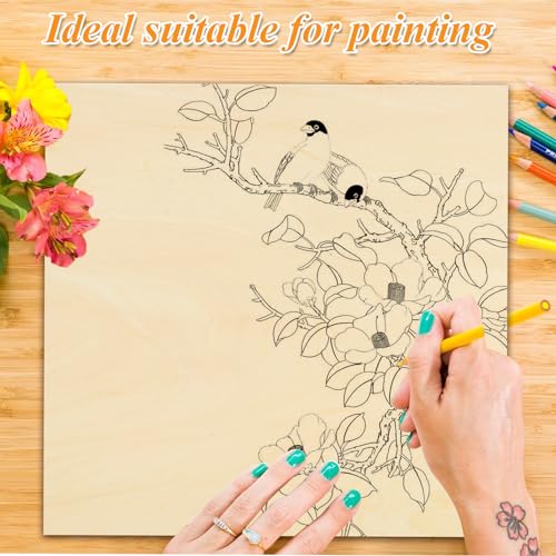 12Pcs 16 x 12 x 1/16 Inch Basswood Sheets, Unfinished Basswood Sheets, Plywood Sheet for Arts and Crafts, Painting, Pyrography, Wood Engraving, Wood Burning, Laser, Architectural Models ACXFOND