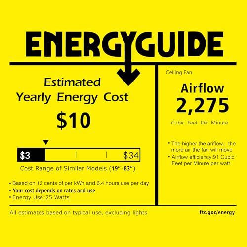 DuMaiWay 36" Caged Ceiling Fan with Lights, Industrial Retro Ceiling Fans with Remote Controller Vintage Style for Farmhouse/Living Room/Bedroom/Restaurant 5 Lights 4 Fan Blades Black DuMaiWay