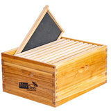 MayBee 10-Frame Beehive Box Langstroth Deep Brood Box Dipped in 100% Beeswax Includes Wooden Frames & Waxed Foundations (Unassembled) MayBee