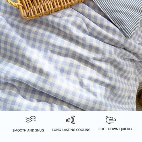 RDIAYDN Edredon Summer Duvet, Soft and Breathable, Reversible Microfibre Blanket, Thin Quilt, Soft and Comfortable, Single Summer Duvet, Machine Washable (C, 200 x 230 cm) RDIAYDN