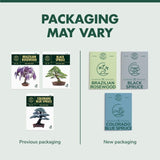 Bonsai Tree Kit - Grow 3 Mini Bonsai Trees, Indoor Plant Growing Kit - Bonsai Starter Kit with Bonsai Seeds, Soil, Planters & Shears, Gardening Gifts for Women, Fathers Day Gardening Gifts · GARDEN REPUBLIC ·