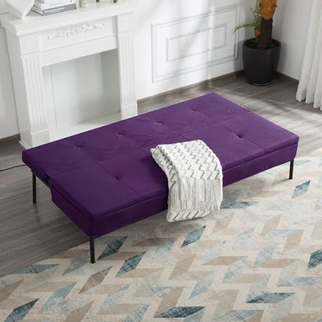 Loveseat Sofa Bed 63” with 5 Reclining Positions, Convertible Futon Sleeper, 600lbs Weight Capacity, Durable Iron Frame with Black Powder Coating & Polyester Upholstery,Purple SonkYog