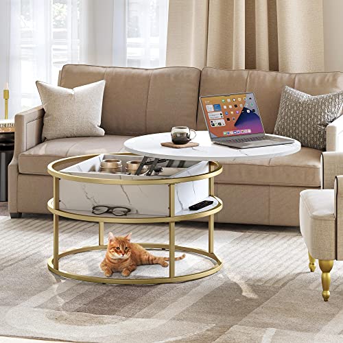 YITAHOME Round Lift Top Coffee Table, Coffee Tables for Living Room with Hidden Storage Compartment, Modern Coffee Table with Storage for Home Office,Round Center Tables Living Room,White and - WoodArtSupply